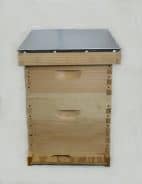 8 Frame Starter Hive