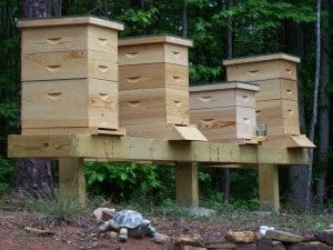 Beekeeping Supplies
