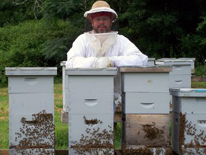Mountain Sweet Honey Company photo